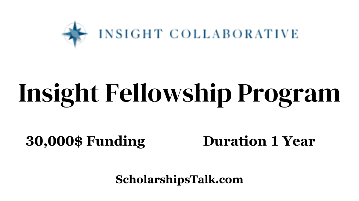 Insight Fellowship Program